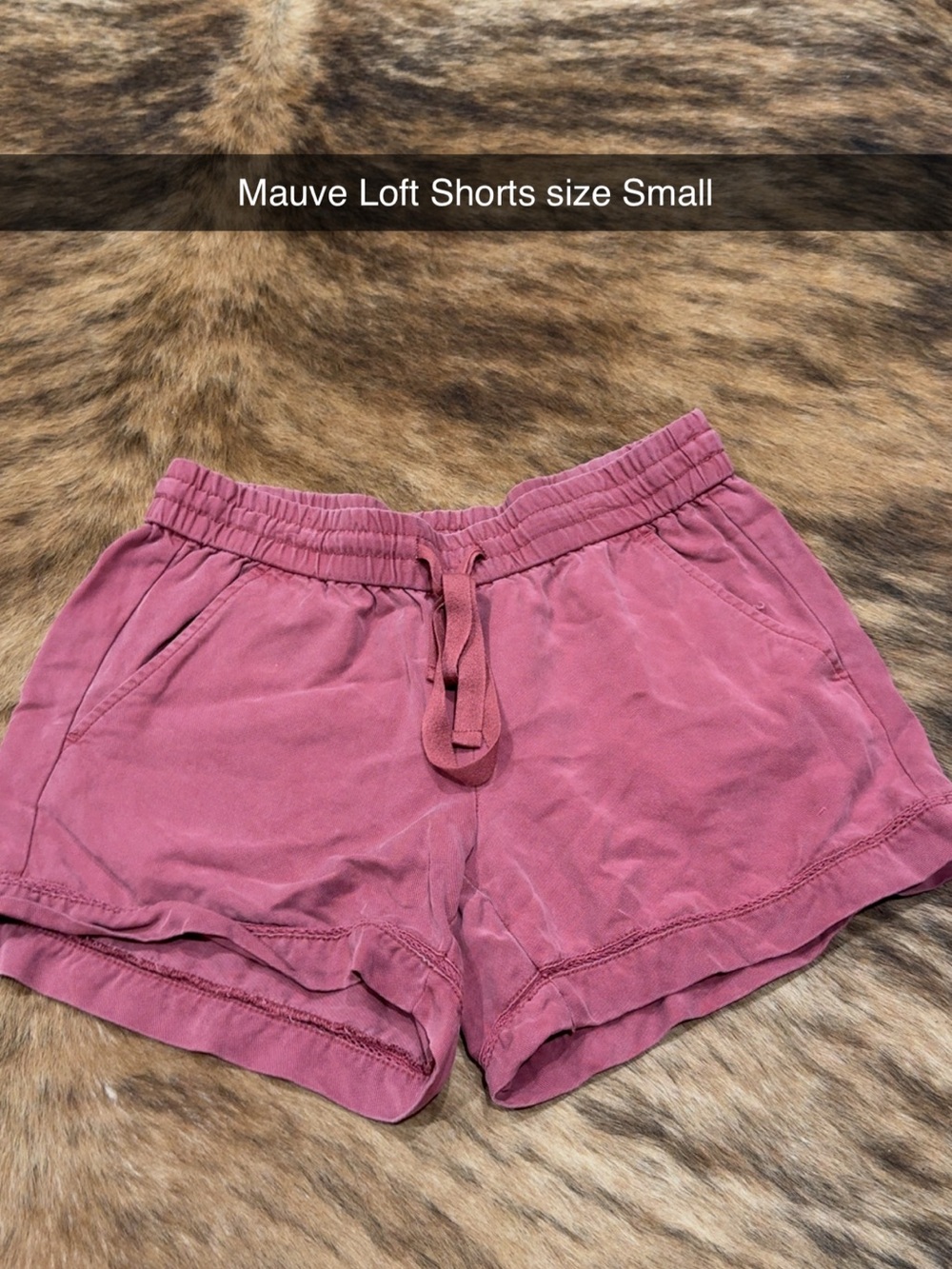 LOFT Mauve Drawstring Casual Women's Shorts